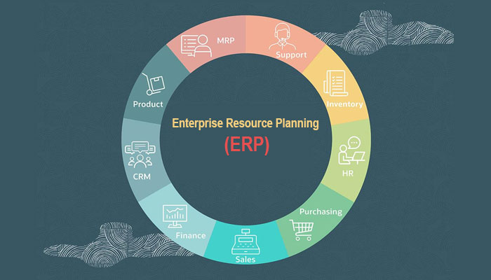 Enterprise Resource Planning (ERP)