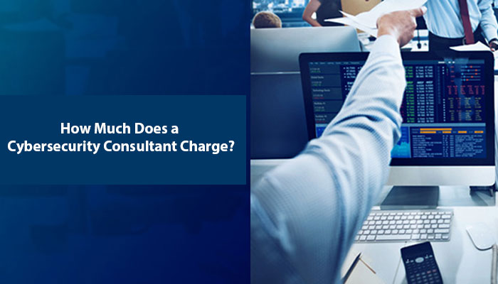 How Much Does a Cybersecurity Consultant Charge?