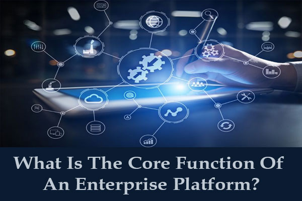 what is the core function of an enterprise platform