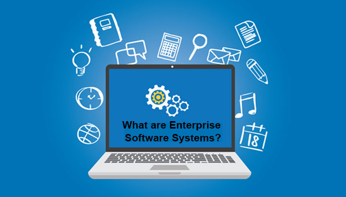 What are Enterprise Software Systems?