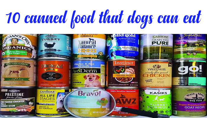 10 canned food that dogs can eat