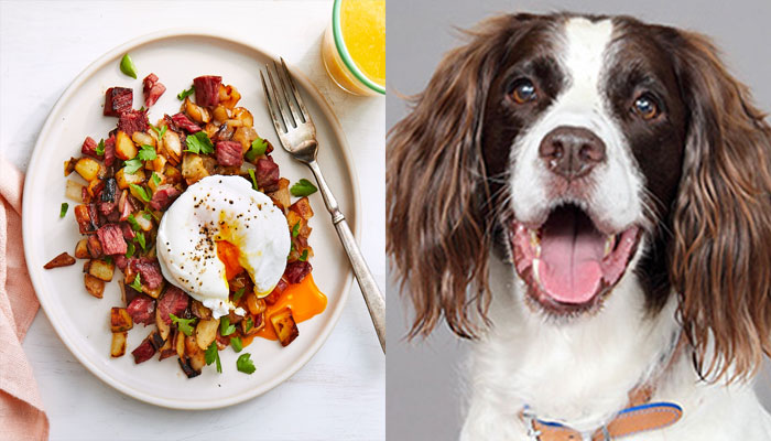 Benefits Of Corned Beef for dogs