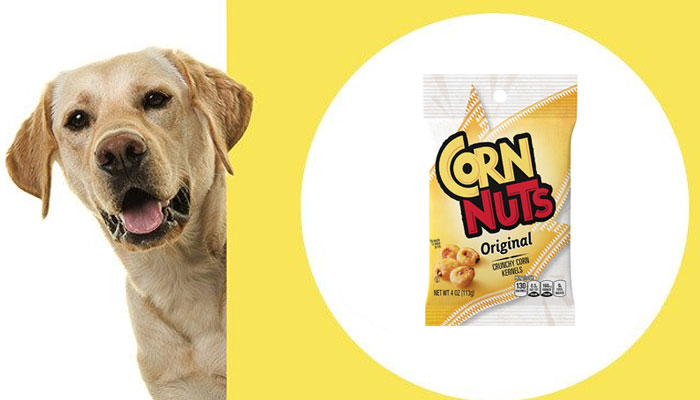 Can Dogs Eat Corn Nuts? Corn For Your Pets