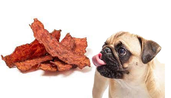 Dogs can eat turkey bacon, but should they
