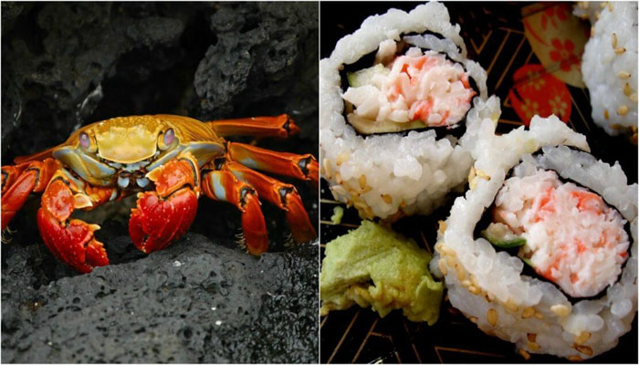 Is Imitation Crab Vegan? What’s Really In That California Roll