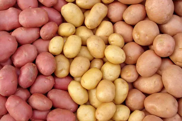 Potatoes