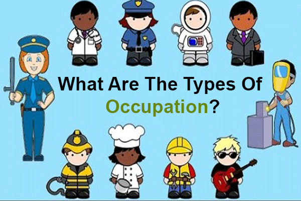 What are the types of occupation?