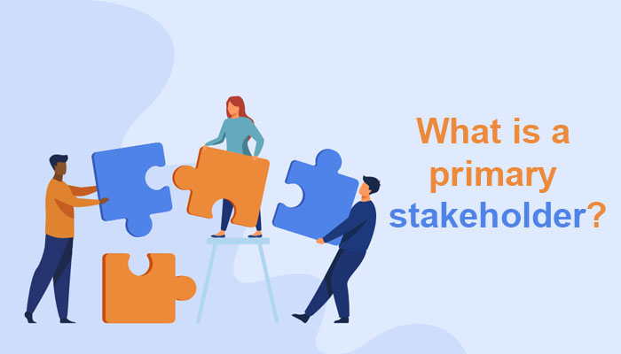 What is a primary stakeholder?