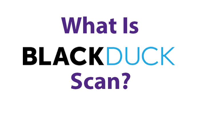 What Is Black Duck Scan?
