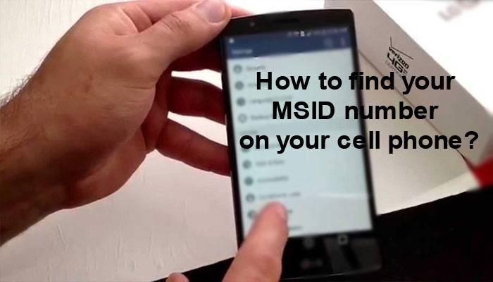 How to find your MSID number on your cell phone?