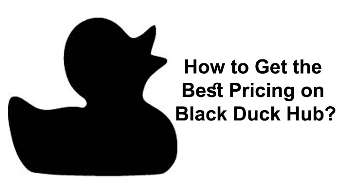 How to Get the Best Pricing on Black Duck Hub?