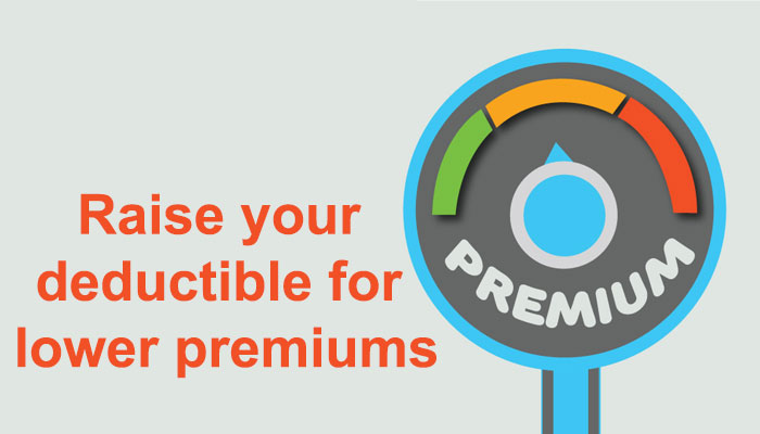 Raise your deductible for lower premiums