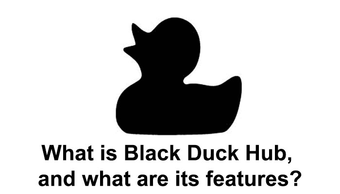 What is Black Duck Hub, and what are its features?