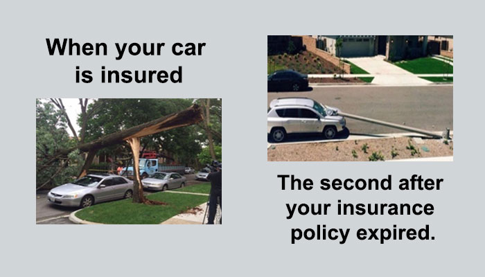 car insurance meme