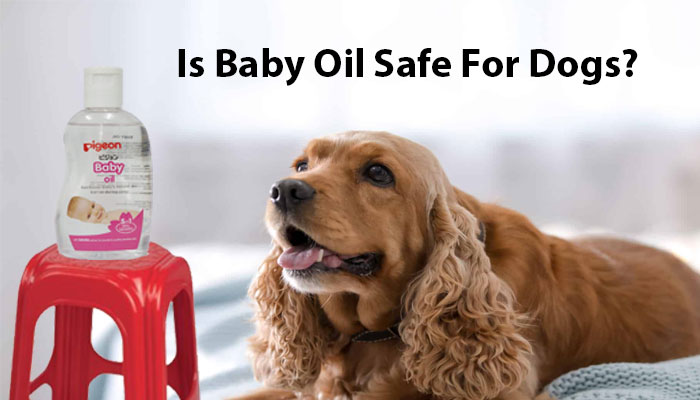 Is Baby Oil Safe for Dogs