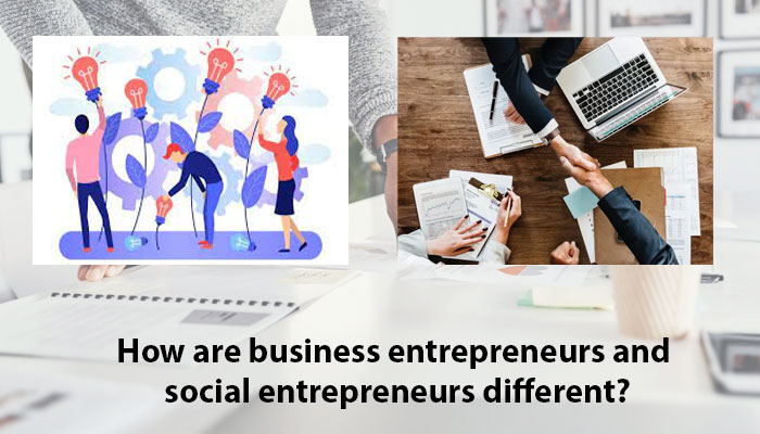 How are business entrepreneurs and social entrepreneurs different?
