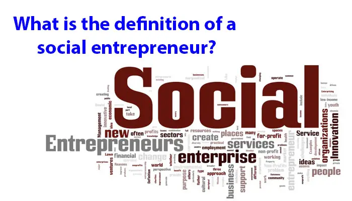 What is the definition of a social entrepreneur?