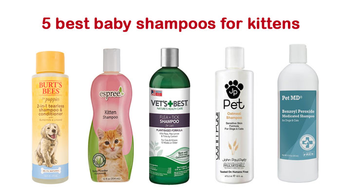 5 best baby shampoos for kittens