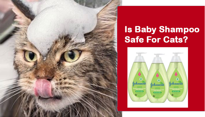 Is baby shampoo safe for cats
