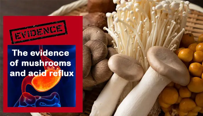 The evidence of mushrooms and acid reflux