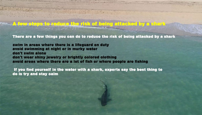 A few steps to reduce the risk of being attacked by a shark