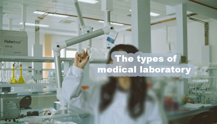 The types of medical laboratory