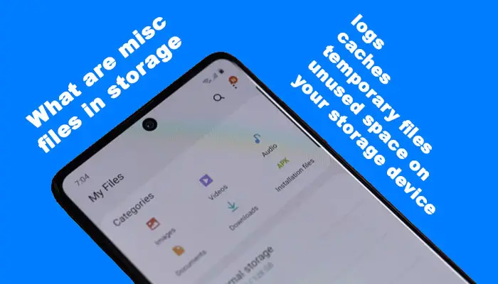 What are misc files in storage