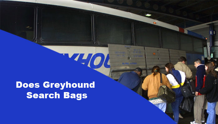 does greyhound search bags