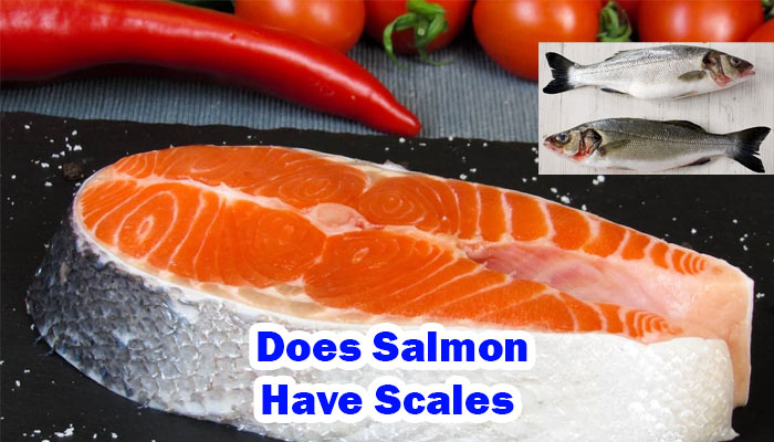 Does Salmon Have Scales